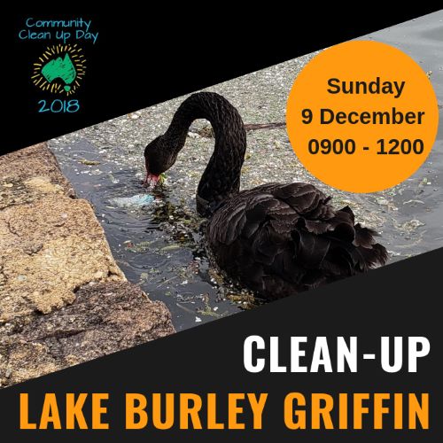 Clean-up Lake Burley Griffin Day